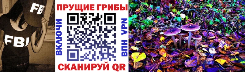Псилоцибиновые грибы MAGIC MUSHROOMS  магазин    Верхотурье 