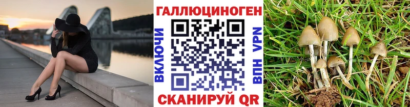 Галлюциногенные грибы Magic Shrooms Верхотурье